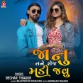 Janu Tane Roj Madi Javu - Bechar Thakor