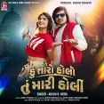 Hu Taro Holo Tu Mari Holi - Arjun R. Meda
